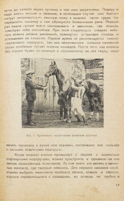 Вачнадзе Ф.А. Заездка, тренировка и испытание верховой лошади / С предисл. проф. П.Н. Кулешова; фот. Н.А. Алексеева. Тифлис: Гос. изд-во ССР Грузии; Сельколхозсектор, 1934.